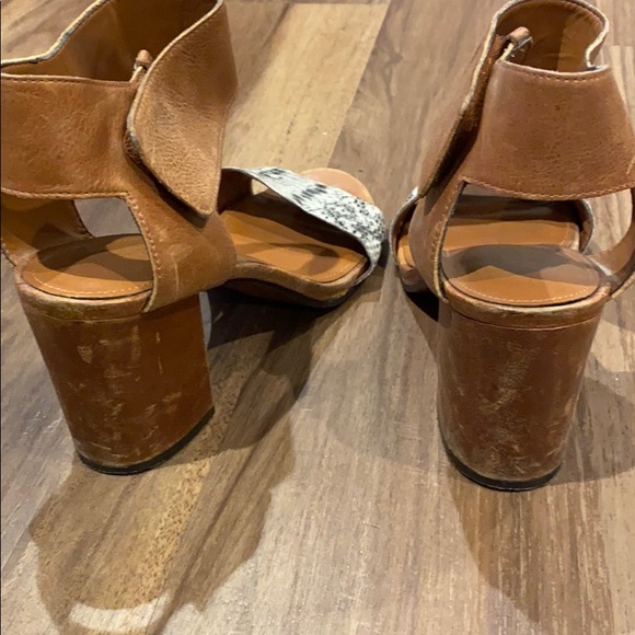 Enzo Angliolini windell faux snakeskin heel 7.5 - Picture 5 of 9